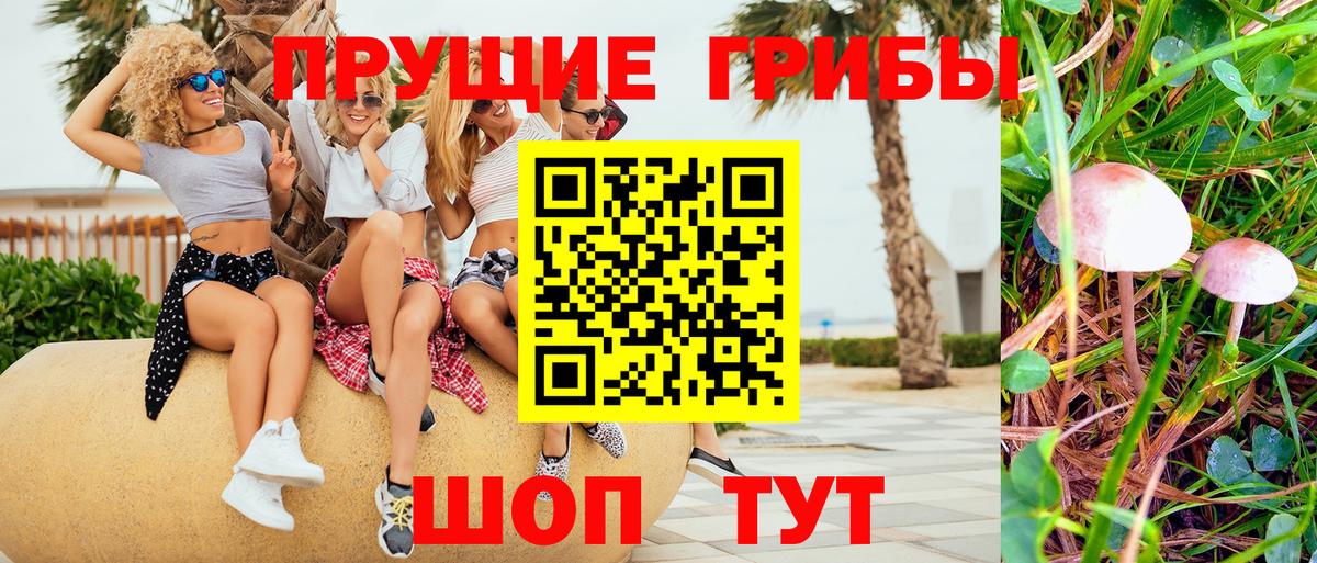 Бугуруслан  сколько стоит  Вход с VPN  Псилоцибиновые грибы ЛСД 